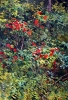 Ряннель_Тойво-Отто_Васильевич_1921-2012гг_Красные_ягоды_1958г._к.м._50х70_ТКГ-45_Ж-45