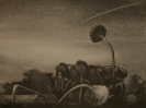 Горбунов_Н.Г.1952-2012гг_Август1988г.литоргафия_40х32_ТКГ-131_Г-31