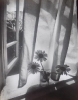 Мальгавко С.В.1959г.р. Июль,1985 г. фотобумага, фотопечать 38,7х30 