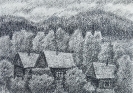 Чемова Н.А.1975г.р. Пригорье,2022г. бумага, соус 29,5х41,5