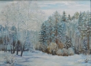Сафронов_Р.А._1935-2006гг_Зимние_мотивы_2005г._х.м.51х70_ТХМ-429_Ж-267