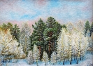 Бабушкин_Н.Ф._1938г.р._На_опушке_леса2011г._х.м._58х42_ТХМ-320_Ж-190