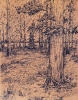 Строкин_С.С._1987г.р._В_лесу_2008г._бум.гелевая_ручка_50х60_ТКГ-273_Г-93