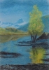 Шалыгина А.М. Одинокая береза. 2018 г. бум. пастель 41,5 х 29,5